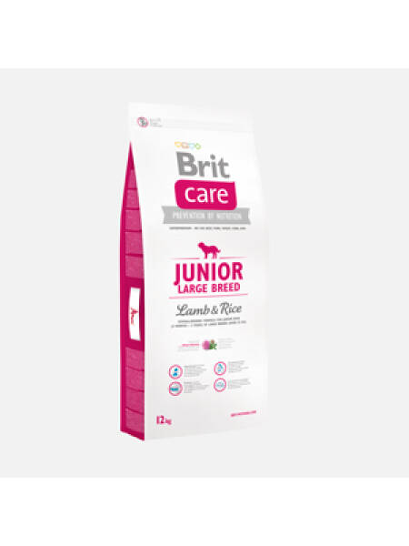 Brit Care Junior Large Miel & Orez 12KG