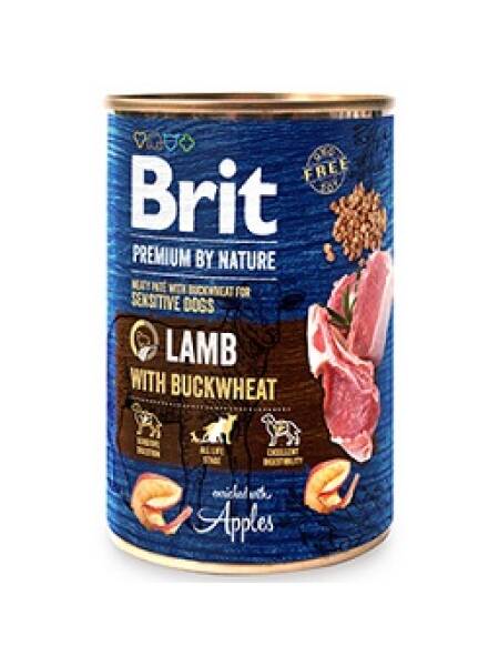 Brit Premium by Nature Miel 400G