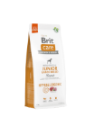 Brit Care Junior Large Lamb 12KG