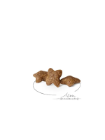 Royal Canin Mini Adult 2