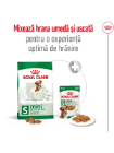 Royal Canin Mini Adult 4