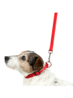 red_lead_1_1